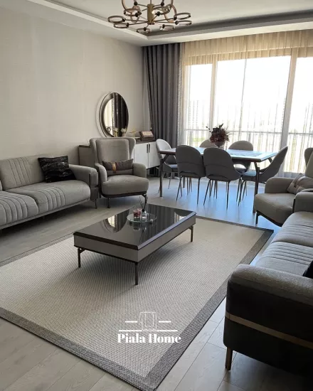 Krem Gri  Çerçeveli Sisal Halı Plus Serisi
