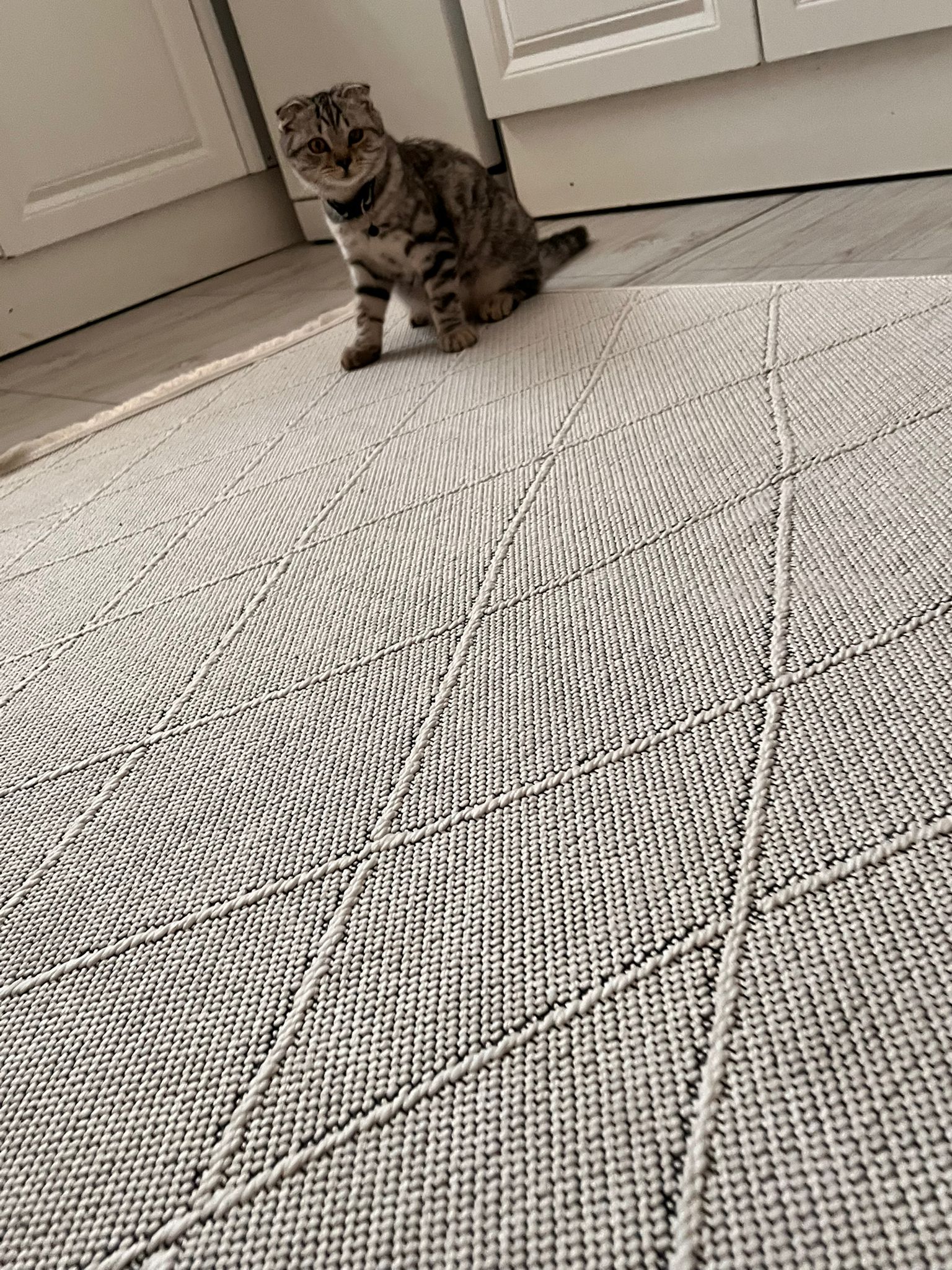 Krem Galata Kilim
